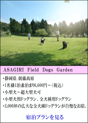 ASAGIRI　Field　Dogs　Garden　静岡県朝霧高原　1名様1泊素泊まり6,600円～（税込）　小型犬～超大型犬宿泊可　小型犬用ドッグラン、全犬種用ドッグランあり　3,000坪の広大な全犬種ドッグランが自慢のお宿。　宿泊プランを見る