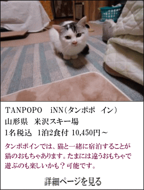 TANPOPO-INN（タンポポイン）　山形県米沢スキー場　1名税込1泊2食付10,450円〜　タンポポインでは、猫と一緒に宿泊することができ、猫のおもちゃもあります。たまには、違うおもちゃで遊ぶのも楽しいかも？可能です。　詳細ページを見る