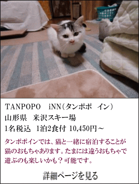 TANPOPO-INNi^||Cj@R`đXL[@1ō12Ht10,450~`@^||Cł́ALƈꏏɏh邱ƂłAL̂܂B܂ɂ́AႤŗVԂ̂yH\łB@ڍ׃y[W