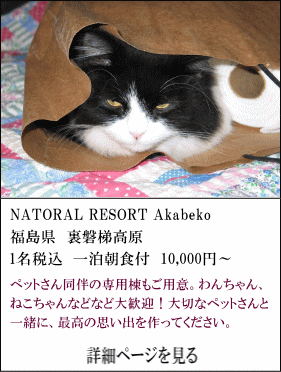 NATORAL-RESORT-Akabeko@֒򍂌@1ōPHt10,000~`@ybg񓯔̐ppӁBALȂǂȂǑ劽}I؂ȃybgƈꏏɁAō̎voĂB@ڍ׃y[W