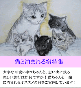 猫と泊まれる宿特集　大事な可愛いネコちゃんと、想い出に残る楽しい旅行は如何ですか！猫ちゃんと一緒に泊まれるオススメの宿をご案内しています！