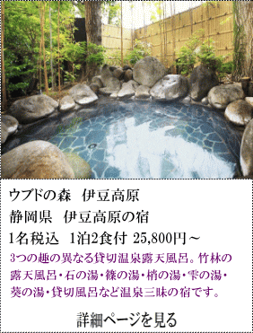 ウブドの森伊豆高原　静岡県伊豆高原の宿　1名税込1泊2食付25,800円～　3つの趣の異なる貸切温泉露天風呂。竹林の露天風呂・石の湯・篠の湯・梢の湯・雫の湯・葵の湯・貸切風呂など温泉三昧の宿です。　詳細ページを見る