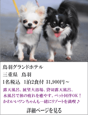 鳥羽グランドホテル　三重県鳥羽　1名税込1泊2食付31,900円～　露天風呂、展望大浴場、貸切露天風呂、水風呂で旅の疲れを癒す。ペット同伴OK！かわいいワンちゃんも一緒にリゾートを満喫♪　詳細ページを見る