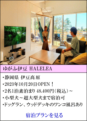 ゆがふ伊豆HALELEA　2023年10月20日OPEN！　2名1泊素泊まり48,400円～（税込）　小型犬～超大型犬まで宿泊可　ドッグラン、ウッドデッキのワンコ風呂あり　宿泊プランを見る