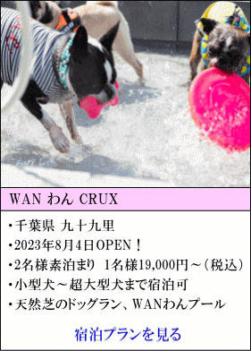 WANわんCRUX　千葉県九十九里　2023年8月4日OPEN！　2名様素泊まり1名様19,000円～（税込）　小型犬～超大型犬まで宿泊可　天然芝のドッグラン、WANわんプールあり。　宿泊プランを見る