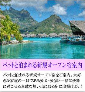 ペットと泊まれる新規オープン宿　ペットと泊まれる新規オープン宿をご案内。大好きな家族の一員である愛犬・愛猫と一緒に優雅に過ごせる素敵な想い出に残る宿に出掛けよう！！