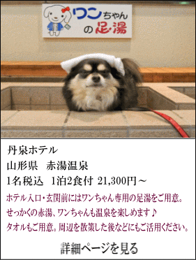 丹泉ホテル　山形県赤湯温泉　1名税込1泊2食付き21,300円～　ホテル入口・玄関前には、ワンちゃん専用の足湯をご用意。せっかくの赤湯、ワンちゃんも温泉を楽しめます♪タオルもご用意。周辺を散策した後などにもご活用ください。　詳細ページを見る