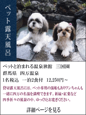 ペットと泊まれる温泉旅館三国園　群馬県四万温泉　1名税込1泊2食付12,250円～　貸切露天風呂には、ペット専用の湯船もありワンちゃんも一緒に四万の名湯を満喫できます。新録・紅葉など四季折々の風景の中、ゆったりとお寛ぎください。　詳細ページを見る