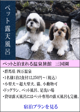 ペットと泊まれる温泉旅館三国園　群馬県四万温泉　1名様1泊2食付12,250円～（税込）　小型犬～超大型犬、猫、小動物可　ドッグラン、ペット風呂、足洗い場　貸切露天風呂には、ペット専用の露天風呂も完備。　宿泊プランを見る