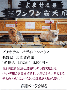 プチホテルバディントンハウス　長野県北志賀高原　1名税込1泊2食付9,900円～　敷地内にあるよませ温泉ワンワン露天風呂はペット専用の露天風呂です。大型犬から小型犬まで、愛犬の大きさによって3つの浴槽があるから安心！　詳細ページを見る