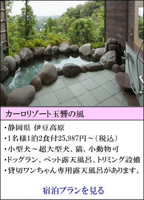 カーロリゾート玉響の風　静岡県伊豆高原　1名様1泊2食付25,987円～（税込）　小型犬～超大型犬、猫、小動物可　ドッグラン、ペット露天風呂、トリミング設備　貸切ワンちゃん専用露天風呂があります。　宿泊プランを見る