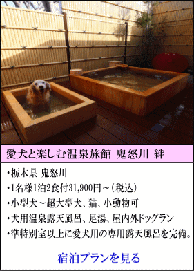 愛犬と楽しむ温泉旅館鬼怒川絆　栃木県鬼怒川　1名様1泊2食付31,900円～（税込）　小型犬～超大型犬、猫、小動物可　犬用温泉露天風呂、足湯、屋内外ドッグラン　準特別室以上に愛犬用の専用露天風呂を完備。　宿泊プランを見る