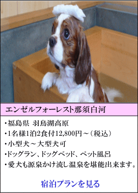 エンゼルフォーレスト那須白河　福島県羽鳥湖高原　1名様1泊2食付12,800円～（税込）　小型犬～大型犬可　ドッグラン、ドッグベッド、ペット風呂　愛犬も源泉かけ流し温泉を堪能できます！　宿泊プランを見る