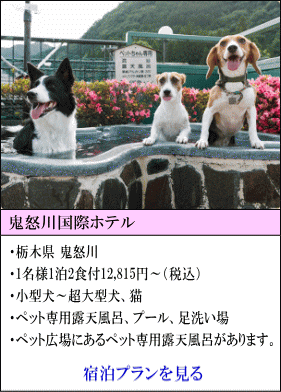 鬼怒川国際ホテル　栃木県鬼怒川　1名様1泊2食付12,815円～（税込）　小型犬～超大型犬、猫　ペット専用露天風呂、プール、足洗い場　ペット広場にあるペット専用露天風呂があります。　宿泊プランを見る