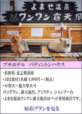 プチホテルバデントンハウス　長野県北志賀高原　1泊2食付1名様9,900円～（税込）　小型犬～超大型犬宿泊可　ドッグラン、愛犬用露天風呂、アジリティ、シャンプー台　よませ温泉ワンワン露天風呂はペット専用風呂です。　宿泊プランを見る