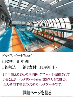 ドッグリゾートWoof　山梨県山中湖　1名税込1泊2食付13,860円～　1年中使える25mの屋内ドッグプールが完備されていることが、ドッグリゾートWoofの大きな魅力。全天候型本格派の大型のドッグプールです。　詳細ページを見る