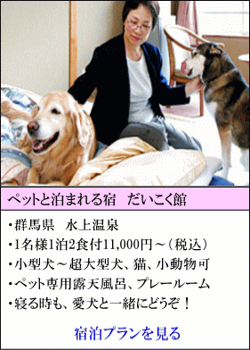 ペットと泊まれる宿だいこく館　群馬県水上温泉　1名様1泊2食付11,000円～（税込）　小型犬～超大型犬、猫、小動物可　ペット専用露天風呂、プレールームあり　寝る時も愛犬と一緒にどうぞ！　宿泊プランを見る