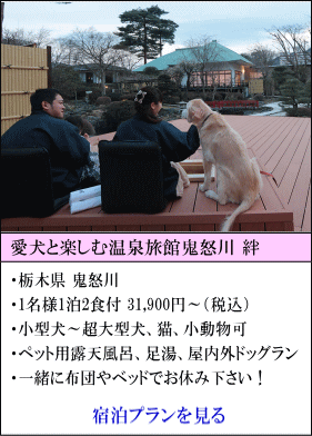 愛犬と楽しむ温泉旅館鬼怒川絆　栃木県鬼怒川　1名様1泊2食付31,900円～（税込）　小型犬～超大型犬、猫、小動物可　ペット用露天風呂、足湯、屋内外ドッグランあり　一緒に布団やベットでお休みください！　宿泊プランを見る