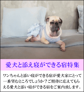 愛犬と添い寝ができる宿特集　ワンちゃんと添い寝ができる宿が愛犬家にとって一番望むところでしょうか？ご期待に応えてもらえる愛犬と添い寝ができる宿をご案内いたします。